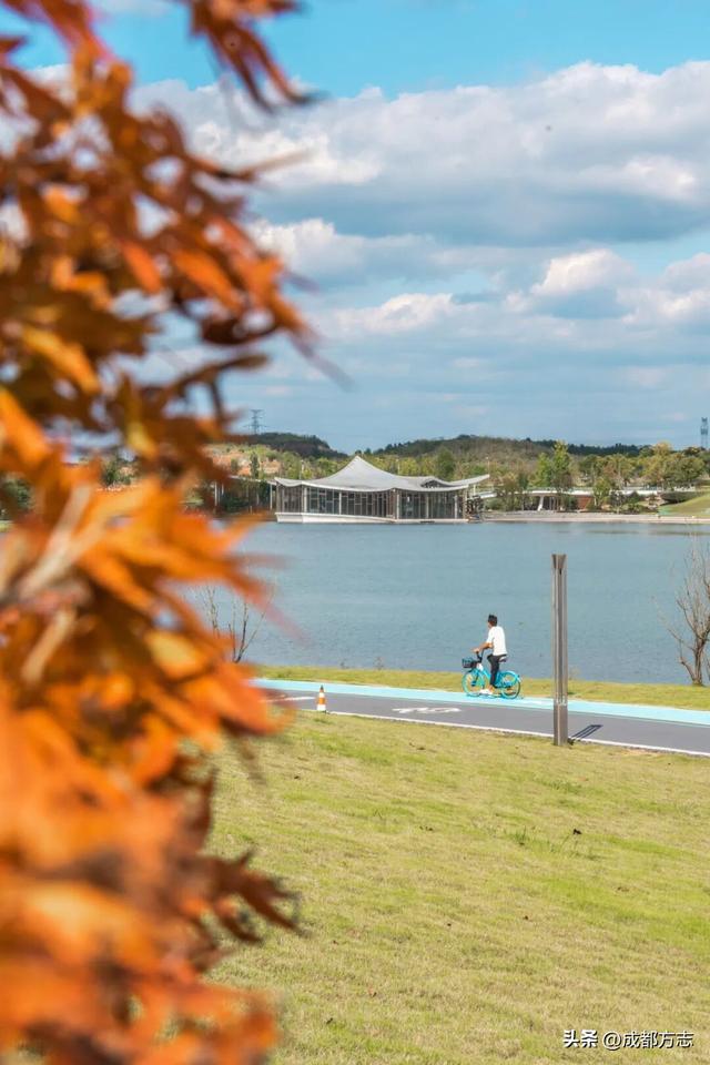 成都版“天空之境”上线！遛娃打卡两不误→