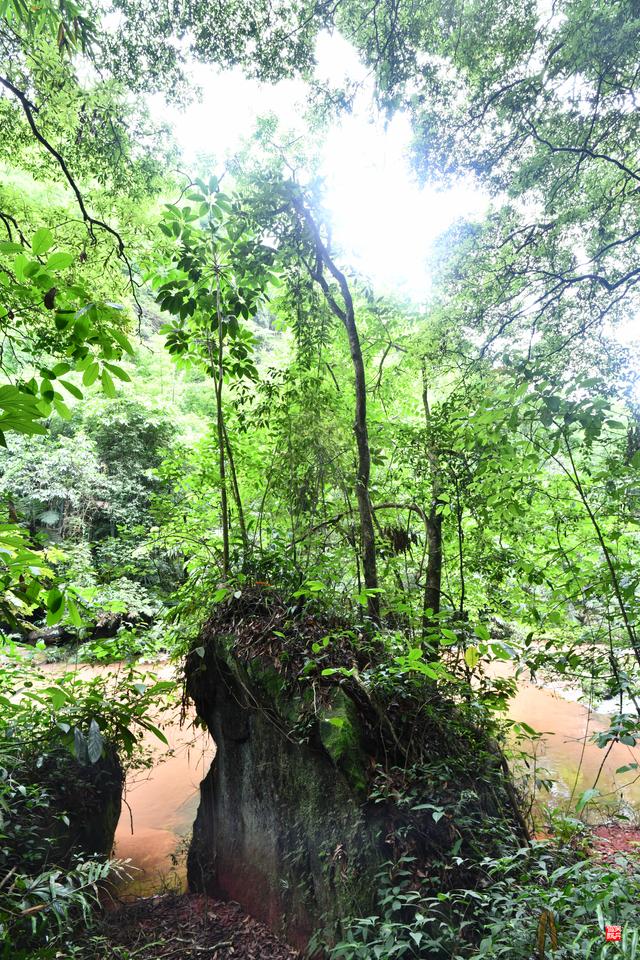 赤水四洞沟瀑布