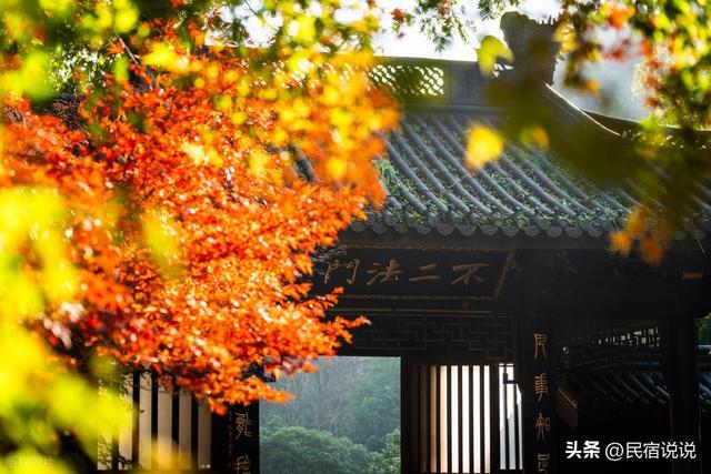 好奇期过后，免费景区的爽约局自然解困。