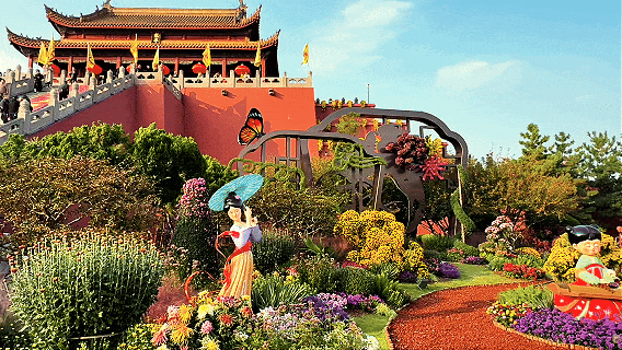 “枫”景正好！开封最美秋色已上线！