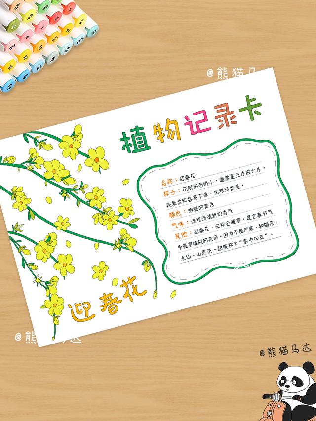 植物记录卡手抄报合集 01 💐