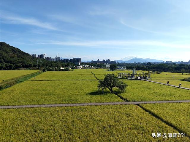 从化艾米稻香小镇