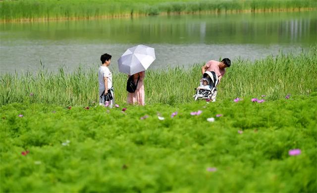 银川：多元场景激发暑期消费新活力