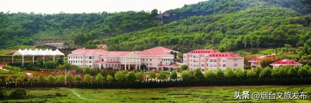 【乐游烟台】今天，烟台开海啦！