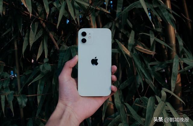 苹果高端机改产越南，中国制造失宠？用户吐槽：质量变了吗？