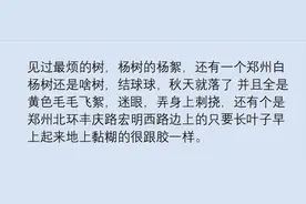 预计2025年柳絮基本治愈，网友：再不治，鼻炎都要好了！图片