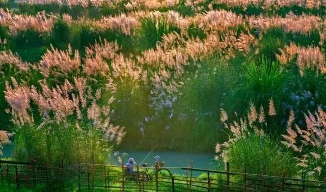 新津冬日徒步，看这里……