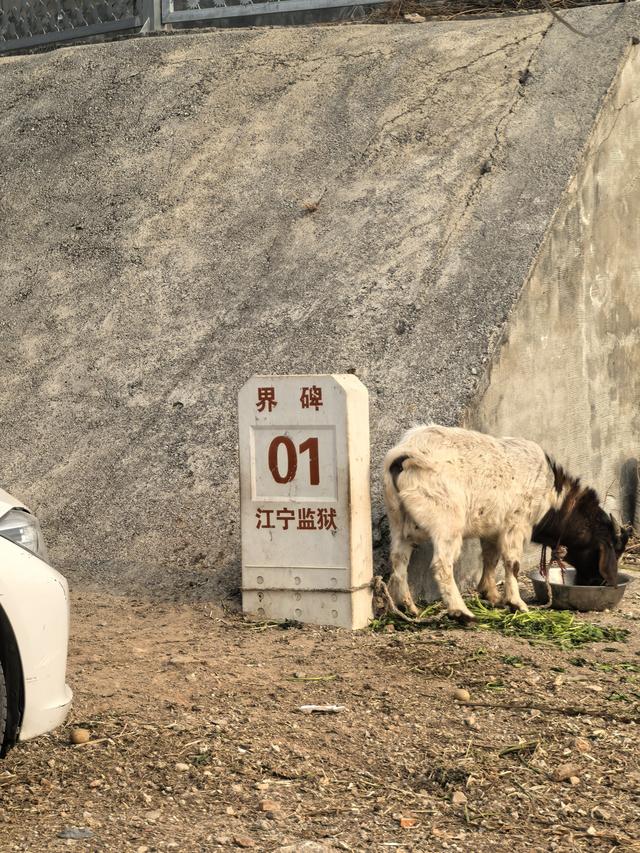 南京江宁大连山金陵四十八景之虎洞明曦，佘村丹霞山一日郊野徒步