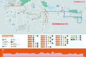 11月17日光谷马拉松开跑，这些路段将临时交通管制图片