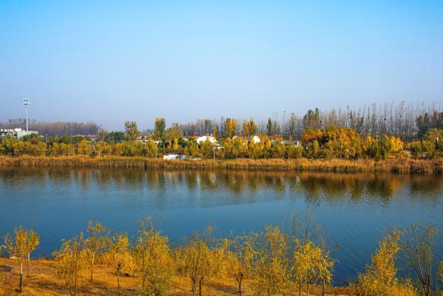 宿州黄河故道，被泥土封存的记忆，秋天充满诗意，是休闲游好去处
