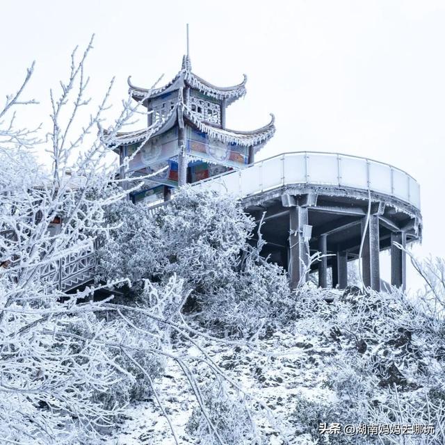2H直达长沙周边的“长白雪山”！带娃登高赏雾凇超欢乐
