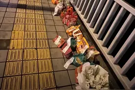 21岁游戏代练“胖猫”为爱跳江轻生，走了还被华莱士，茶百道骗图片