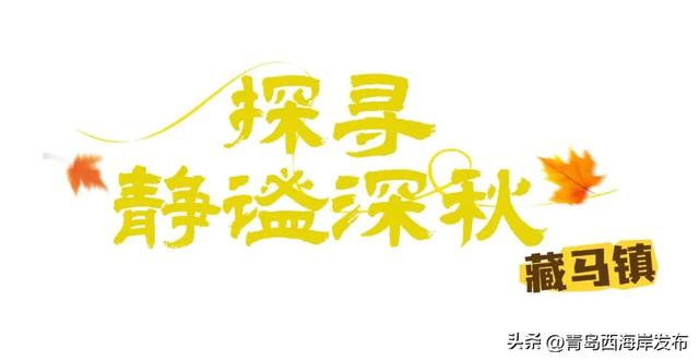 走不出这画了,我已被西海岸的秋景迷倒 🥹