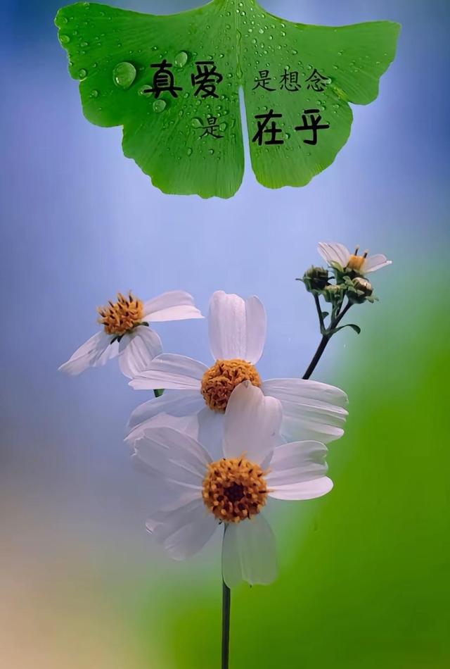 媳妇的谎话 却让我很感动