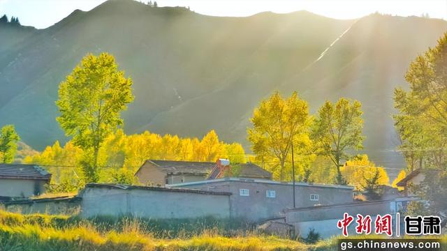 甘肃民乐：祁连山金色秋景如画卷