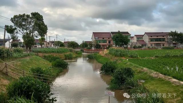 一次浦东乡村的深度二日游