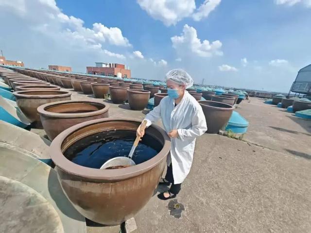 回望江阴的2025，一场跨越四季的诗意奔赴~