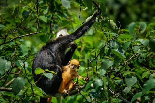 最适合冬游的宝藏边陲小城，来过一次就彻底爱上