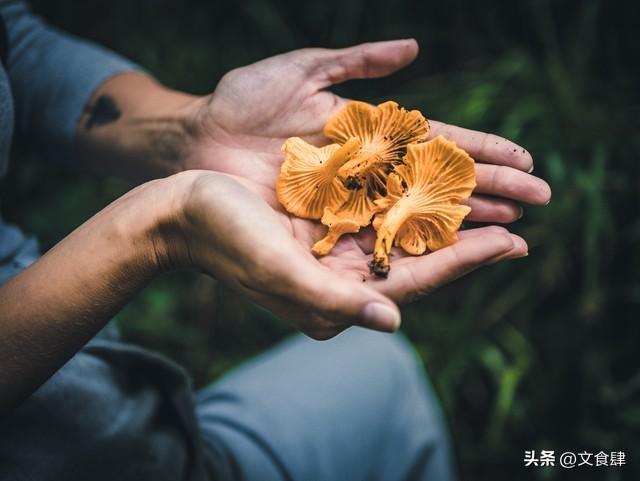张家口旅游全攻略：必游景点与必吃美食，一篇搞定！