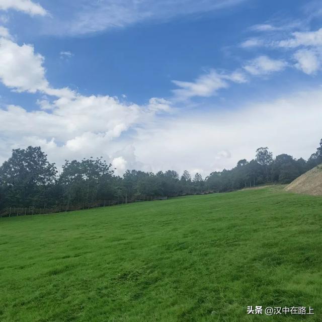 草川子康养景区明日开园，这份夏日清凉请柬请您查收→