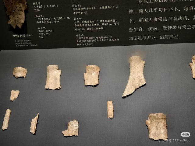 山东博物馆文物来源青州、滕州、曲阜、泰安、临淄