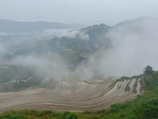 广西有个“奇怪”的旅游景点，原本只是农田，现在却是4A级景区？