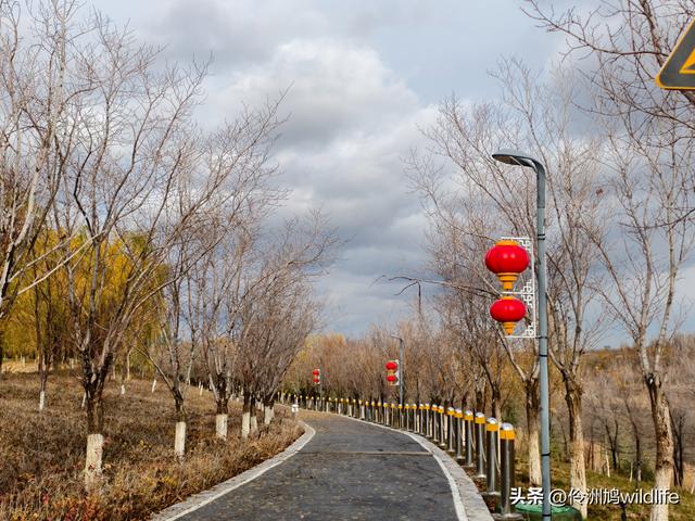 新疆昌吉头屯河公园