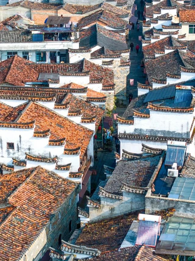 福建和浙江交界处有个小镇，默默无闻，却藏着全国独一无二的景观