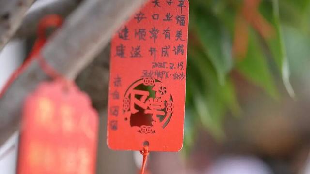 【20度的丽江】把时光泡进书与咖啡里