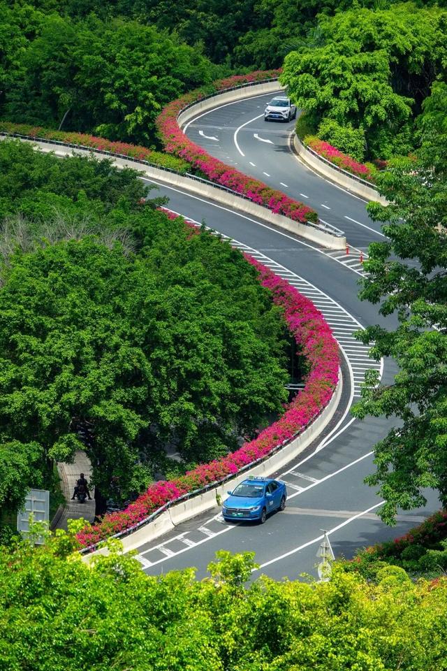 地理冷知识—春节自驾游路线