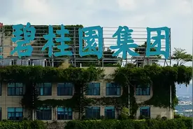 碧桂园多位管理层被记入诚信档案！图片