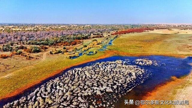 内蒙古杭锦旗：湿地秋景惹人醉