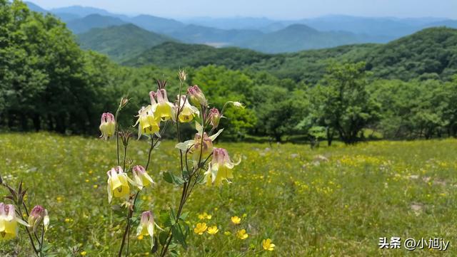 两次本溪南岭徒步记｜高山草甸，湖池松林，我被南岭种草