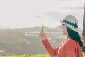 成年人世界的10大“生存法则”，很肮脏，但很现实图片