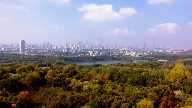 国家生态文明示范区系列报道丨于城市之心,写共生之诗