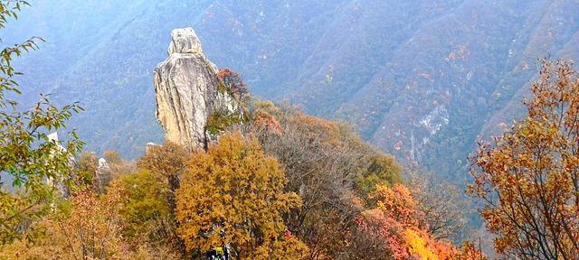 最爱秋意行不足 再上翠华赏秋色