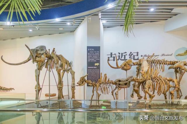 【乐游烟台】九月好去处丨开海季！大批生猛海鲜即将上桌