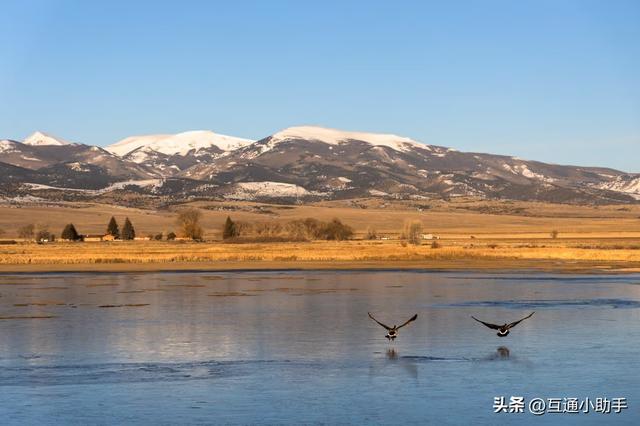 佳能的“标志性套头”——RF 24-105mm f/4L IS USM 镜头评测