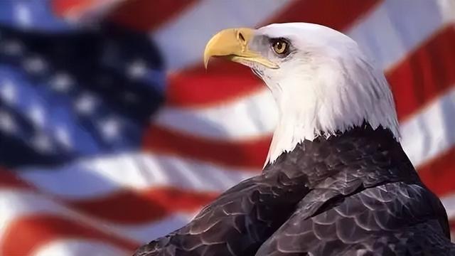 中美外副长举行会晤，美国急召大批将领回国，要有大事发生？