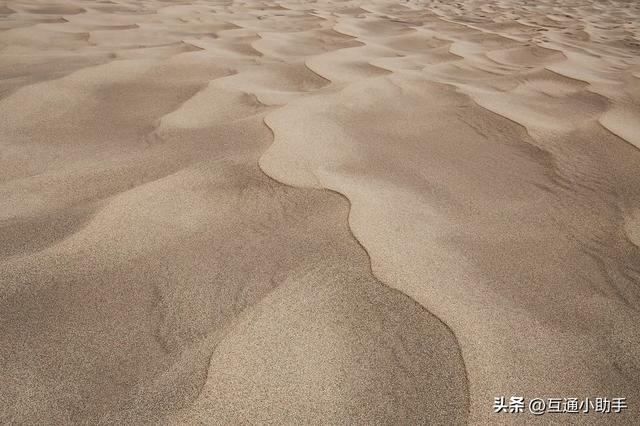 佳能的“标志性套头”——RF 24-105mm f/4L IS USM 镜头评测