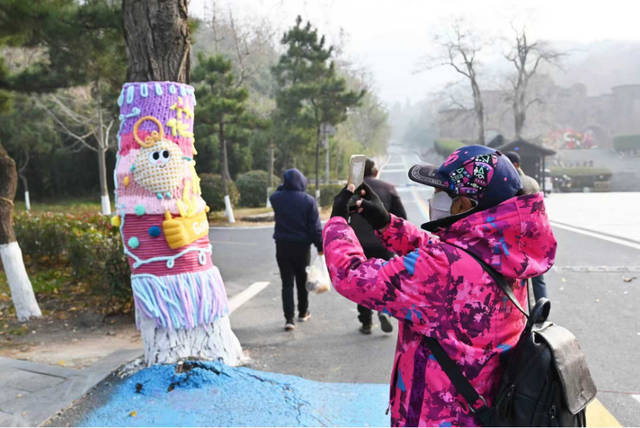 连云港：花果山大树集体穿上了“猴哥牌”毛衣