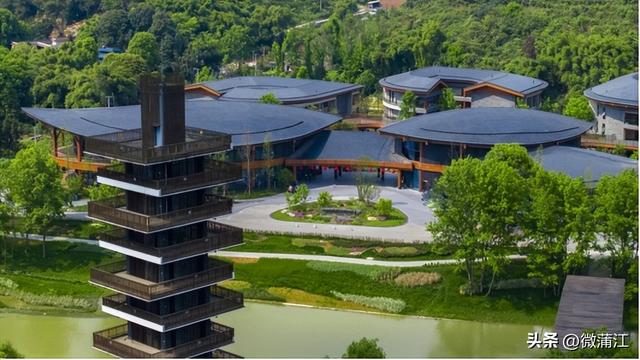 成都蒲江好物“上架”星级酒店、热门景区！这份“伴手礼”清单请收好！