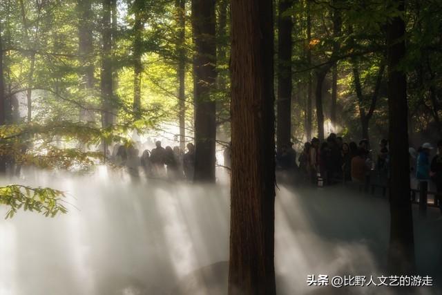 北京：焦糖色的秋日正当时，还有美味素食+直达专列，走啦！