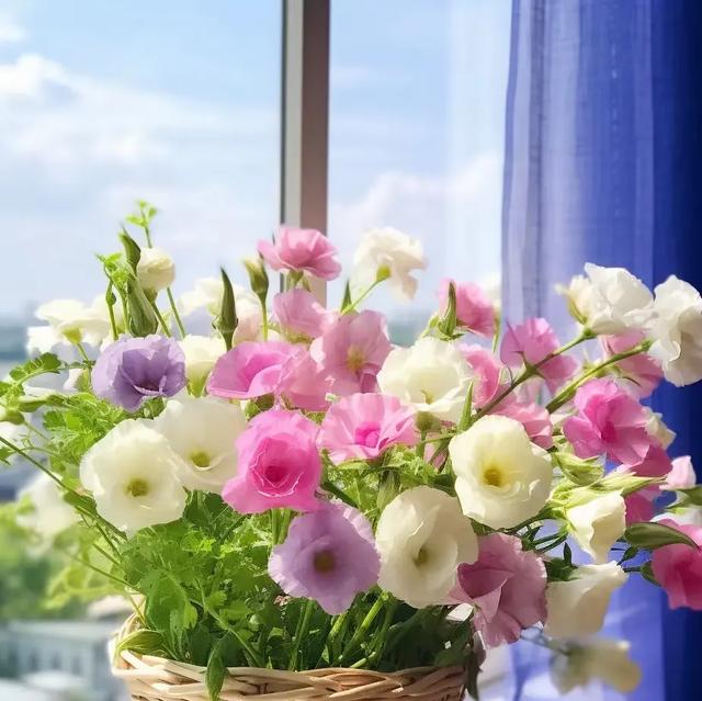 花胶对小产后 花胶对小产后有帮助吗