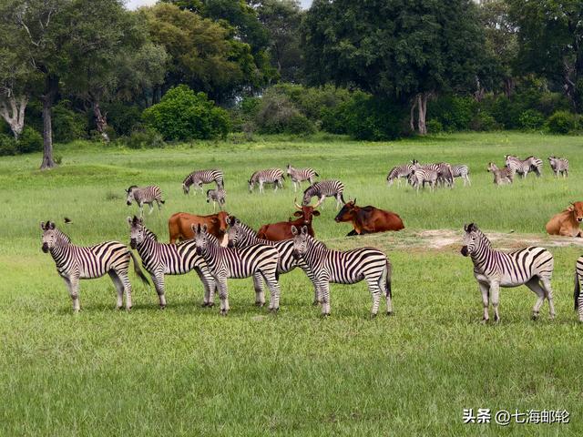 北京出发 26天香草三岛＋非洲南部 漫游8国自然奇观的深度猎奇之旅