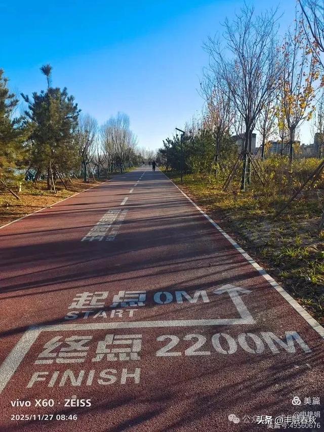 初冬北京玉河湿地公园游记|申艳娟