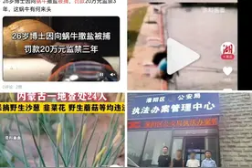 内蒙24人采野菜被查，网友胆战心惊：究竟哪些野生动植物不能碰图片