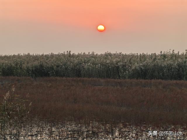 2025辽宁赏秋之旅日记(6)——到辽河口中国最北海岸线看日出 观鸟