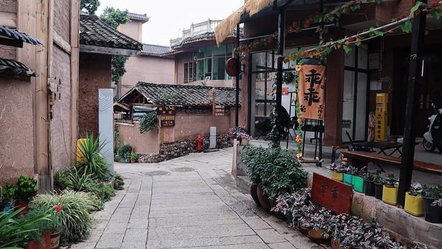 宝藏春城，冬季旅居圣地，物价低风景好，动车直达，比大理暖和