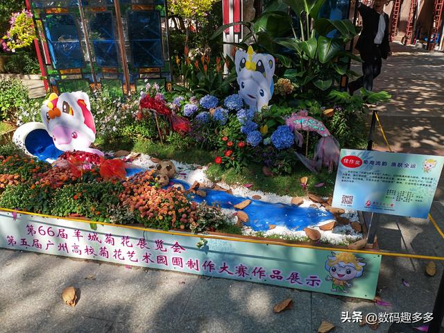 广州66届羊城菊花展，快来看打卡攻略